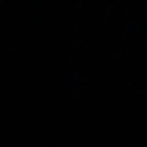 Meet your Posher, Vilma